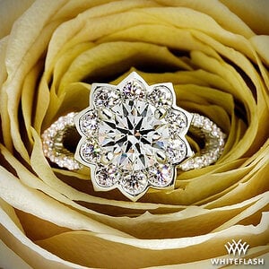 Custom Lotus Halo with Shared Prong Style Infinity Shank Diamond Engagement Ring
