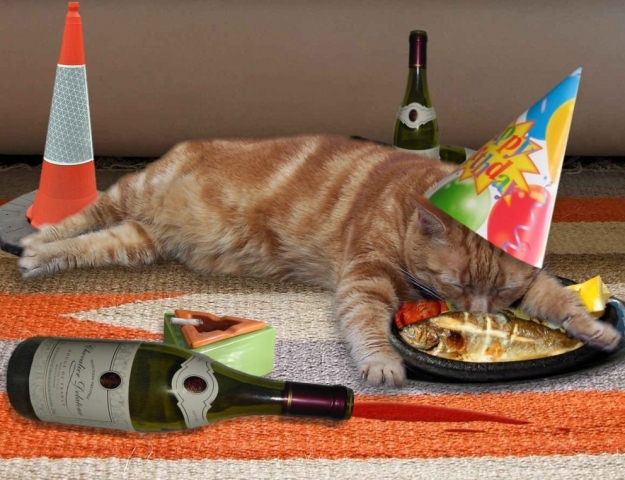 happy-birthday-cat-8.jpg
