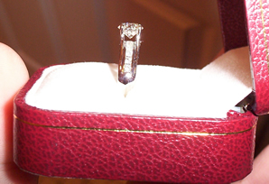 ring_side_sideview2_small.jpg