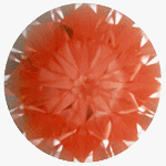 FSP2.gif