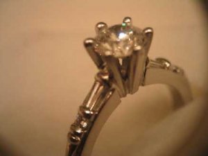 ring oblique.JPG