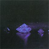 p_fluo.jpg