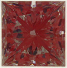 DSCN8147.jpg