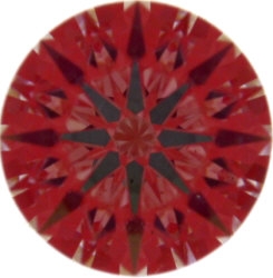 1.01image.JPG
