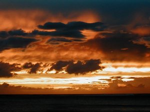 moorea2.jpg moorea2.jpg