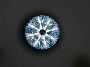 Web 238504A.jpg