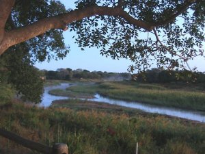 IMG_0912.jpg