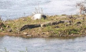 IMG_0962.jpg
