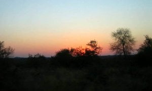 IMG_0737.jpg
