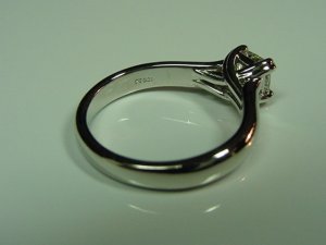 SGL Pic6.jpg
