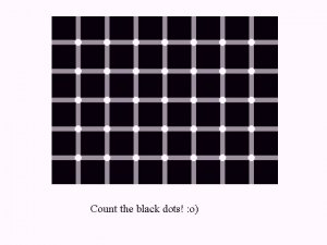 Optic Illusion.jpeg