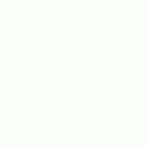 thingsremem.gif