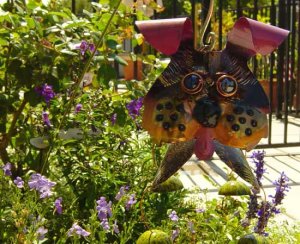 funny little garden dog 0905.jpg