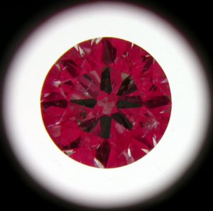 IS_EGL2505311623.jpg