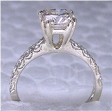 aw1479042.jpg