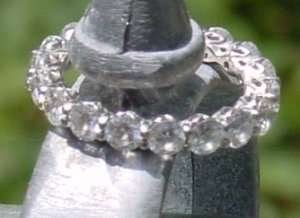 fence ring ps1.JPG