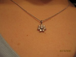 dixie_IMG_0573.JPG
