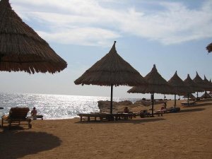 sharmbeach.JPG