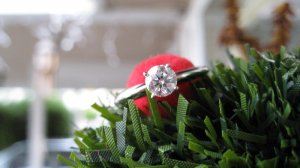 Rudolph ring.JPG