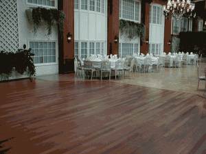 35584[1].gif