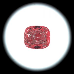 IS16362583.jpg