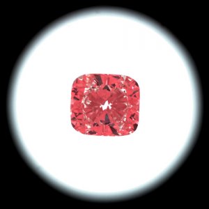 IS2753309938.jpg