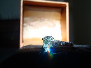 VVDSC00886.JPG