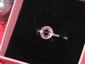 anotherringviewtmt.jpg