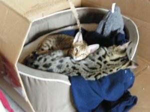 snugglin.JPG