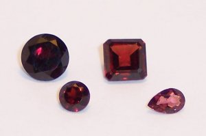 Garnet family.jpg