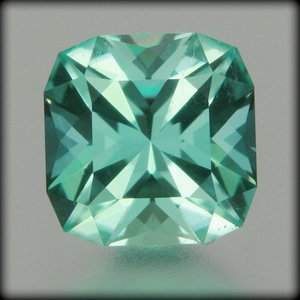 TML009f.jpg