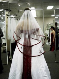 backwithveil.jpg