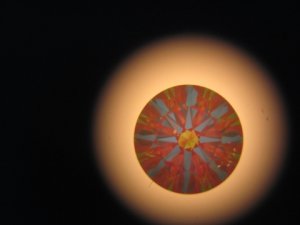 picno.1.JPG