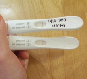 pregtests.JPG