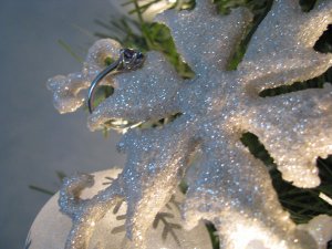 IMG_3015 freke.jpg