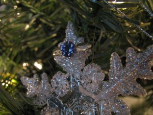 IMG_3003 freke.jpg