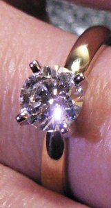 ringguy21-ring04.jpg