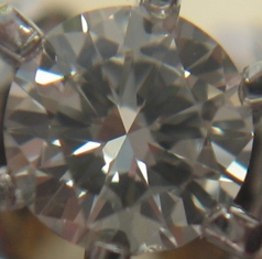 Tiny Girdle chip.JPG