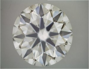 2MagnifiedSI2.jpg