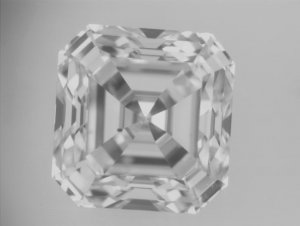 1141737.JPG 1141737.JPG