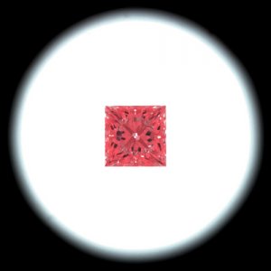 IS_AGS8400305.jpg