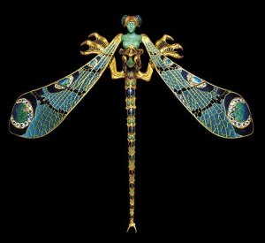 dragonfly.jpg