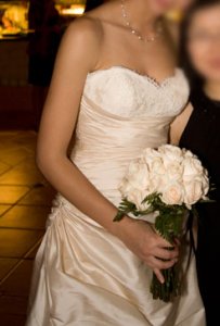 newbie_paloma2.jpg