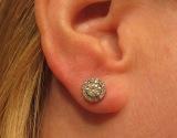 obligatory ear shot 1.jpg