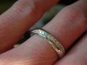 niwaka_ring.JPG