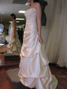 newbie_paloma_side.jpg
