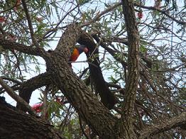DSC00680-edit.JPG