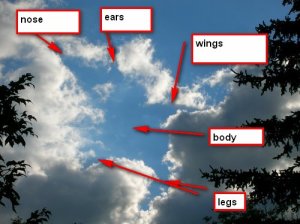 flyingpigbystorm2.JPG