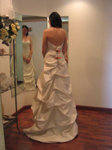 newbie_paloma_back.jpg