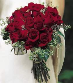 scarlett_roses1.jpg